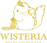 RoyalChinchilla WISTERIA